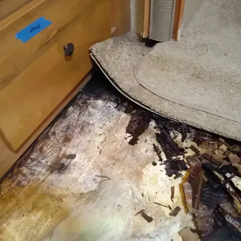 Best Wood Floor Water Damage Service in Ault, CO